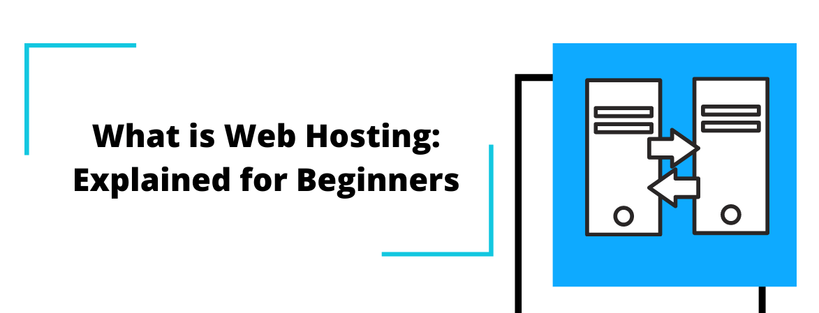 What is Web Hosting? Web Hosting Explained for Beginners